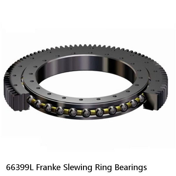 66399L Franke Slewing Ring Bearings