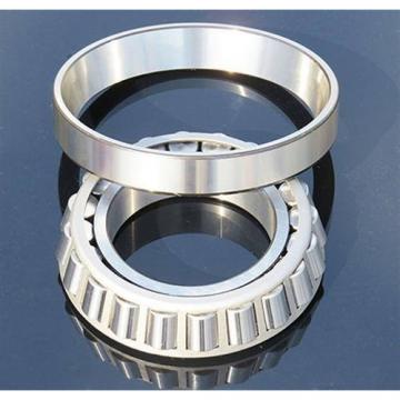 Full Complement Cylindrical Roller Bearing