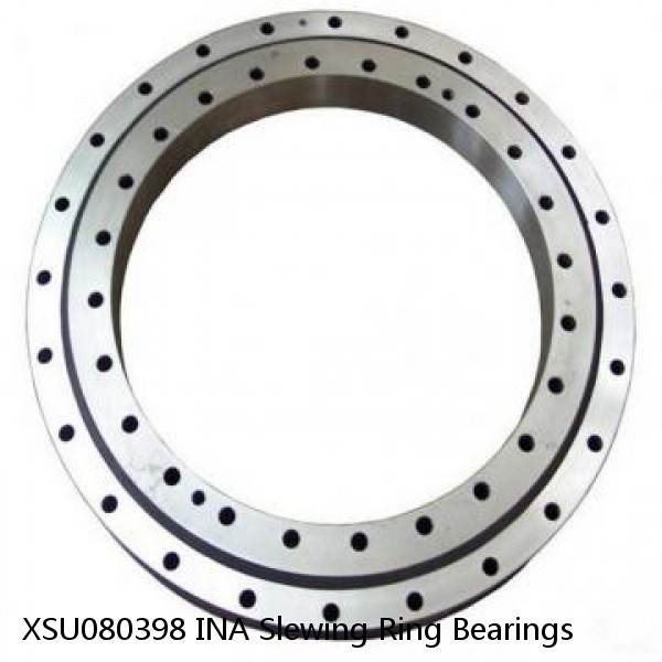 XSU080398 INA Slewing Ring Bearings