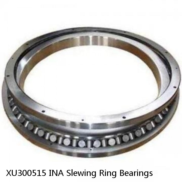 XU300515 INA Slewing Ring Bearings