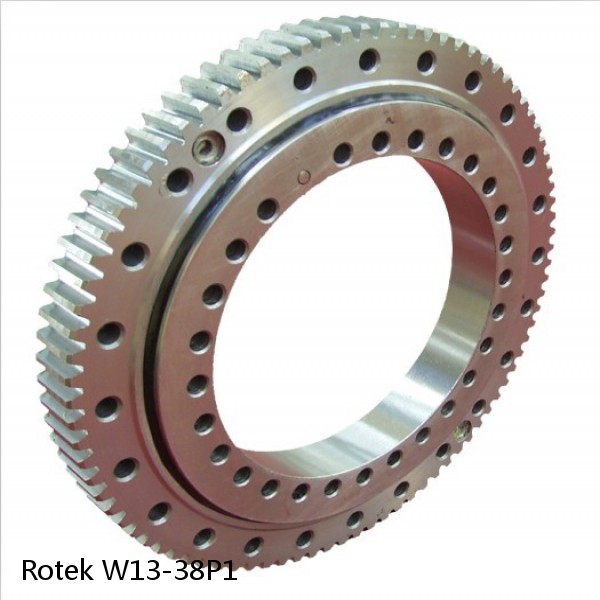 W13-38P1 Rotek Slewing Ring Bearings