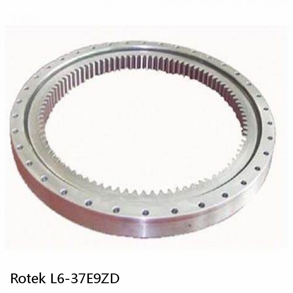 L6-37E9ZD Rotek Slewing Ring Bearings