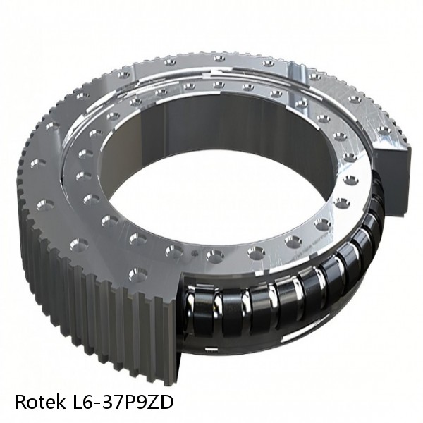 L6-37P9ZD Rotek Slewing Ring Bearings