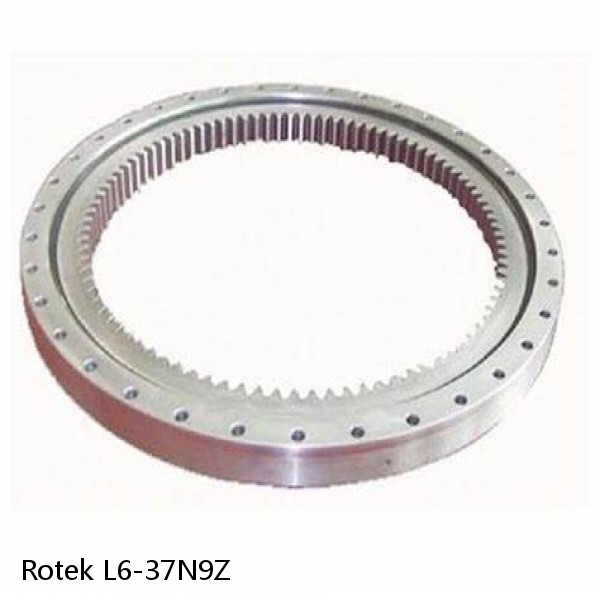 L6-37N9Z Rotek Slewing Ring Bearings