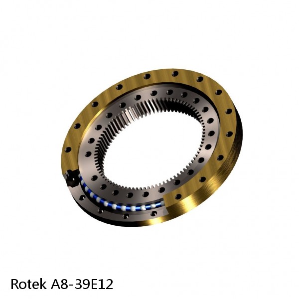 A8-39E12 Rotek Slewing Ring Bearings